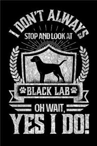 I Don't Always Stop and Look At Black Lab OH Wait, Yes I Do!