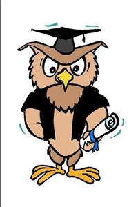 Graduation Journal Wise Owl Cap Diploma Lined Journal Pages