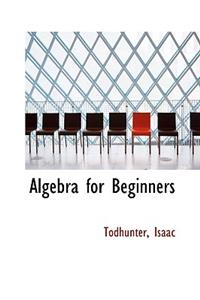 Algebra for Beginners