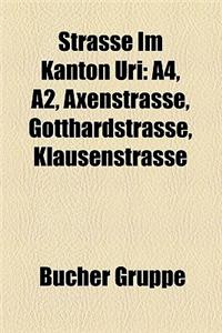 Strasse Im Kanton Uri