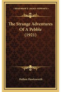 The Strange Adventures of a Pebble (1921)