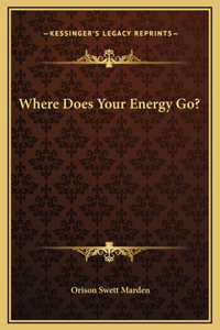 Where Does Your Energy Go?