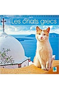 Chats Grecs 2018