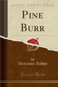 Pine Burr (Classic Reprint)