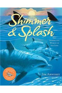Shimmer & Splash