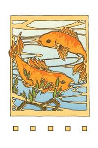 Koi