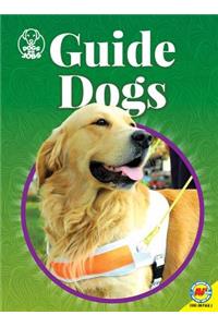 Guide Dogs