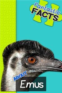 Fantastic Facts about Emus: Illustrated Fun Learning for Kids