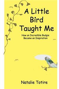Little Bird Taught Me