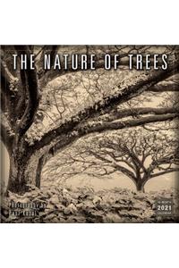2021 the Nature of Trees 16-Month Wall Calendar