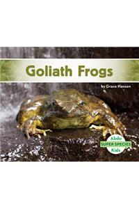 Goliath Frogs