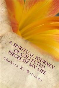 A Spiritual Journey of Collected Pieces of My Life: Inspiration, Resilience, Testimony, and Empowerment