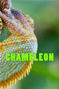 Chameleon