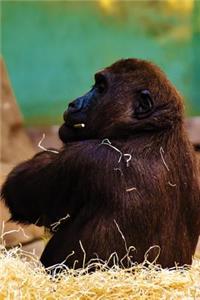 Gorilla Any Day Planner Notebook