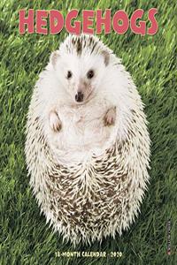 Hedgehogs 2020 Mini Wall Calendar