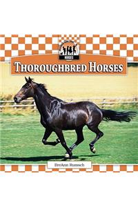 Thoroughbred Horses