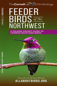 Feeder Birds of the Northwest