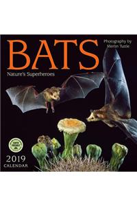 Bats 2019 Wall Calendar