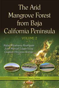 Arid Mangrove Forest from Baja California Peninsula