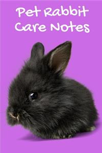 Pet Rabbit Care Notes