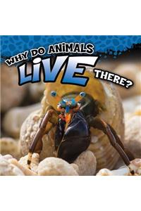 Why Do Animals Live There?