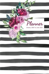 Planner - January 2020 to June 2021
