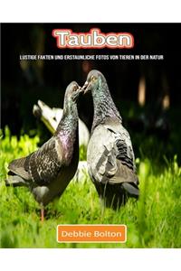 Tauben