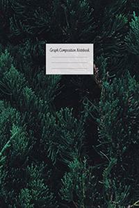 Graph Composition Notebook