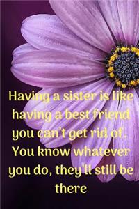 Having A Sister Is Like Having A Best Friend You Can't Get Rid Of. You Know Whatever You Do, They'll Still Be There.