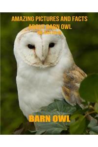 Barn Owl