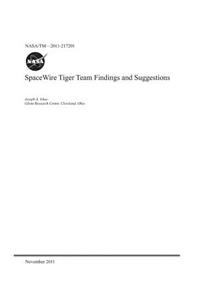 Spacewire Tiger Team Findings and Suggestions