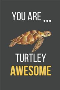 You Are Turtley Awesome