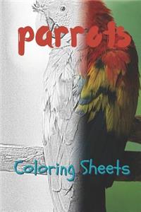 Parrot Coloring Sheets