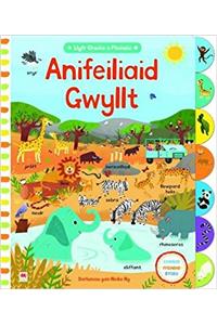 Cyfres Chwilio a Ffeindio: Anifeiliaid Gwyllt