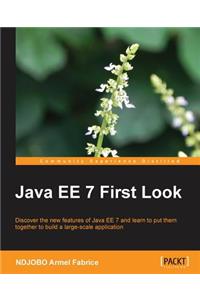 Java Ee 7 First Look