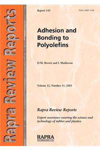 Adhesion and Bonding to Polyolefins