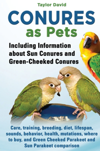 Conures as Pets