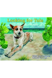 Looking for Tula
