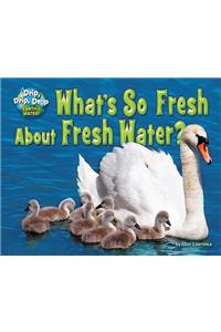 What's So Fresh about Fresh Water?