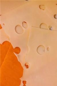 Sliced Cheddar and Swiss Cheese Journal