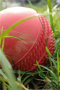 Cricket Ball in the Grass Journal