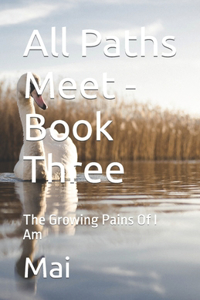 All Paths Meet - Book Three