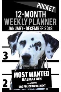 2018 Pocket Weekly Planner - Most Wanted Dalmatian