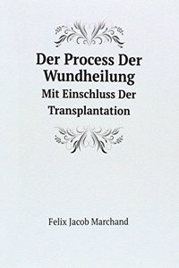 Der Process Der Wundheilung