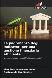 padronanza degli indicatori per una gestione finanziaria efficiente