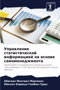 Управление статистической информацией