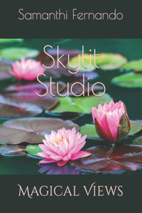 Skylit Studio