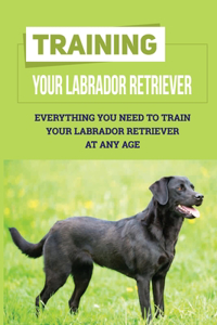 Training Your Labrador Retriever