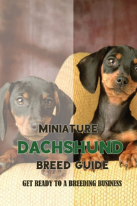Miniature Dachshund Breed Guide