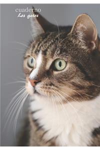 Cuaderno especial conmovedor para gatos